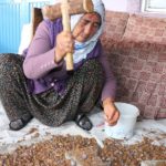 Andız Pekmezi Üretiyor Siparişlere Yetişemiyor (2)