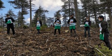 Fekede Tohumlar toprakla buluştu (3)