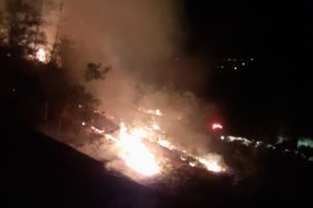 Kozanda Orman Yangını (3)
