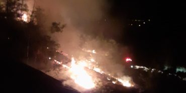 Kozanda Orman Yangını (3)