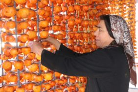 Yangında Zorda Kalan Aile Hurma Kurutarak Ayakta Kalmaya Çalışıyor (3)