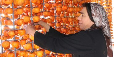 Yangında Zorda Kalan Aile Hurma Kurutarak Ayakta Kalmaya Çalışıyor (3)