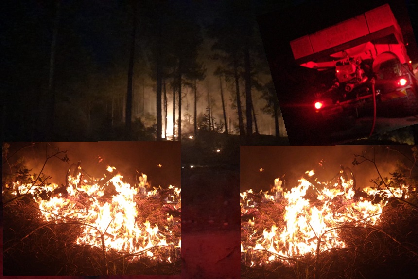Feke’de Aynı Anda 6 Noktada Orman Yangını