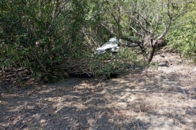 IMG-20230727-WA0003
