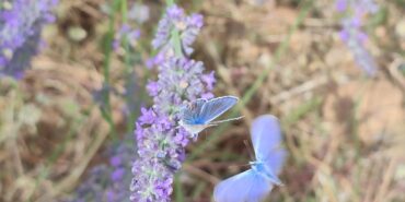 IMG_20240711_075950