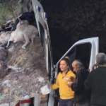 Screenshot_20240922_211106_Instagram~2