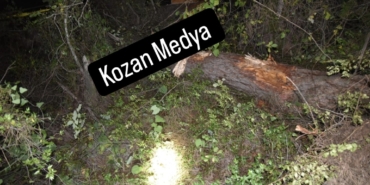 Screenshot_20241003_124522_Instagram~2