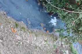 VideoCapture_20250120-130244