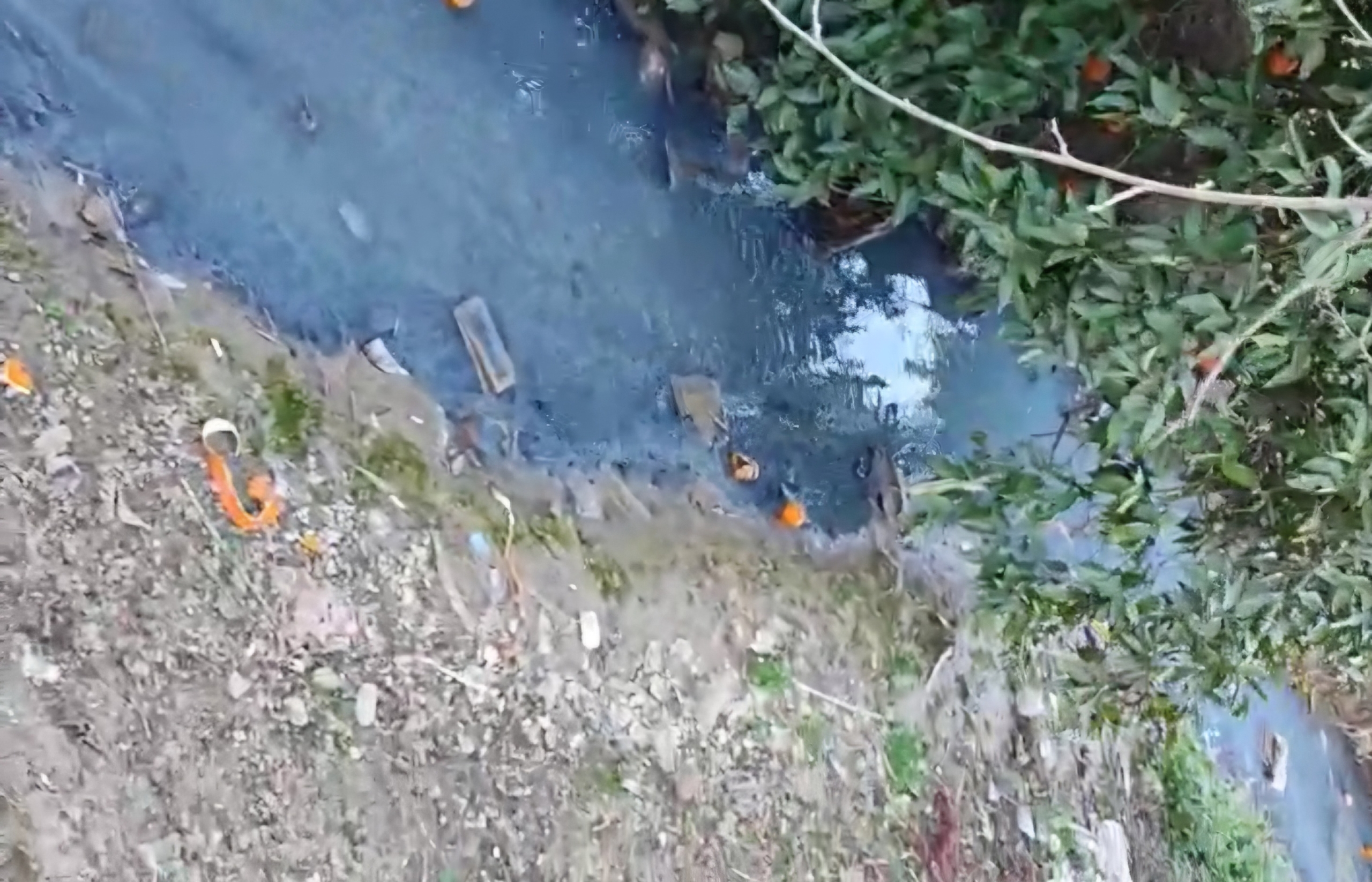 VideoCapture_20250120-130244