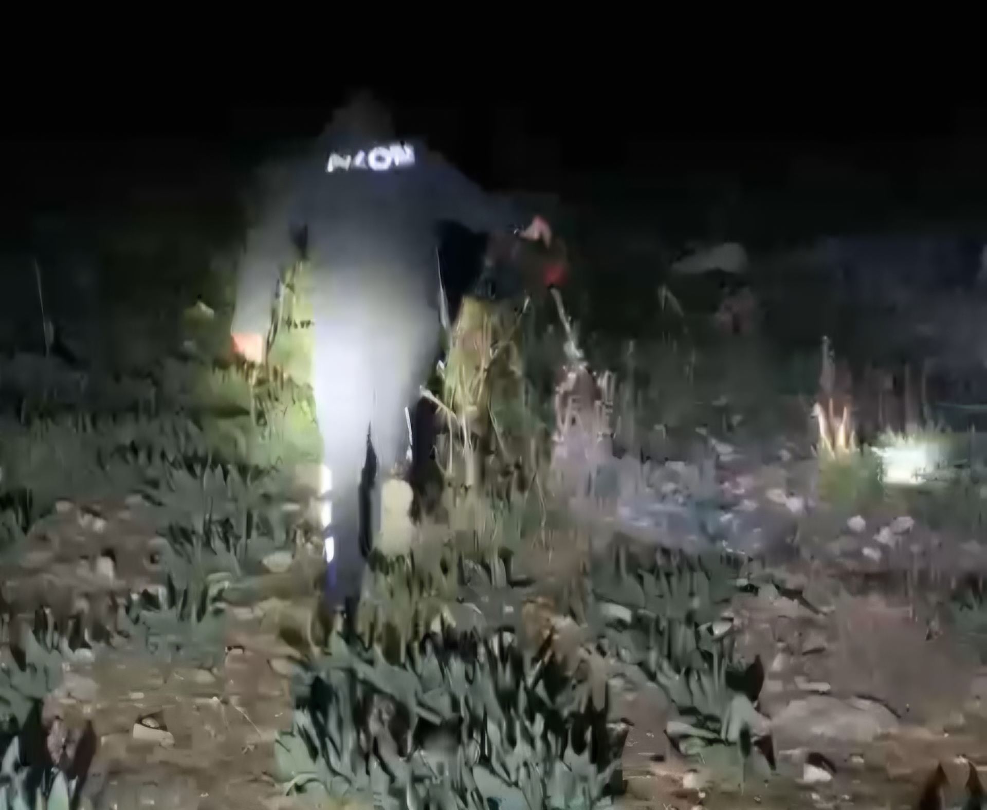 1000473647